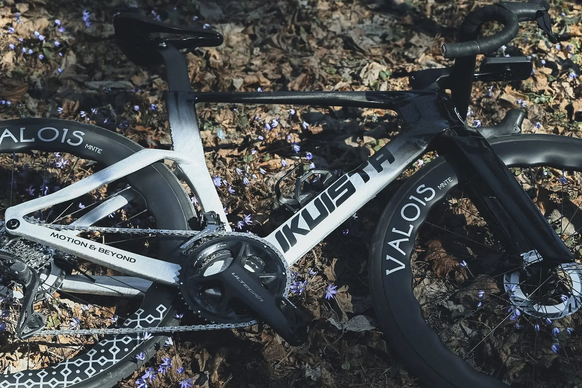 Close-up of an IKUISTA road bike lying among autumn leaves and purple flowers, showing the Motion & Beyond decal and Ultegra crankset