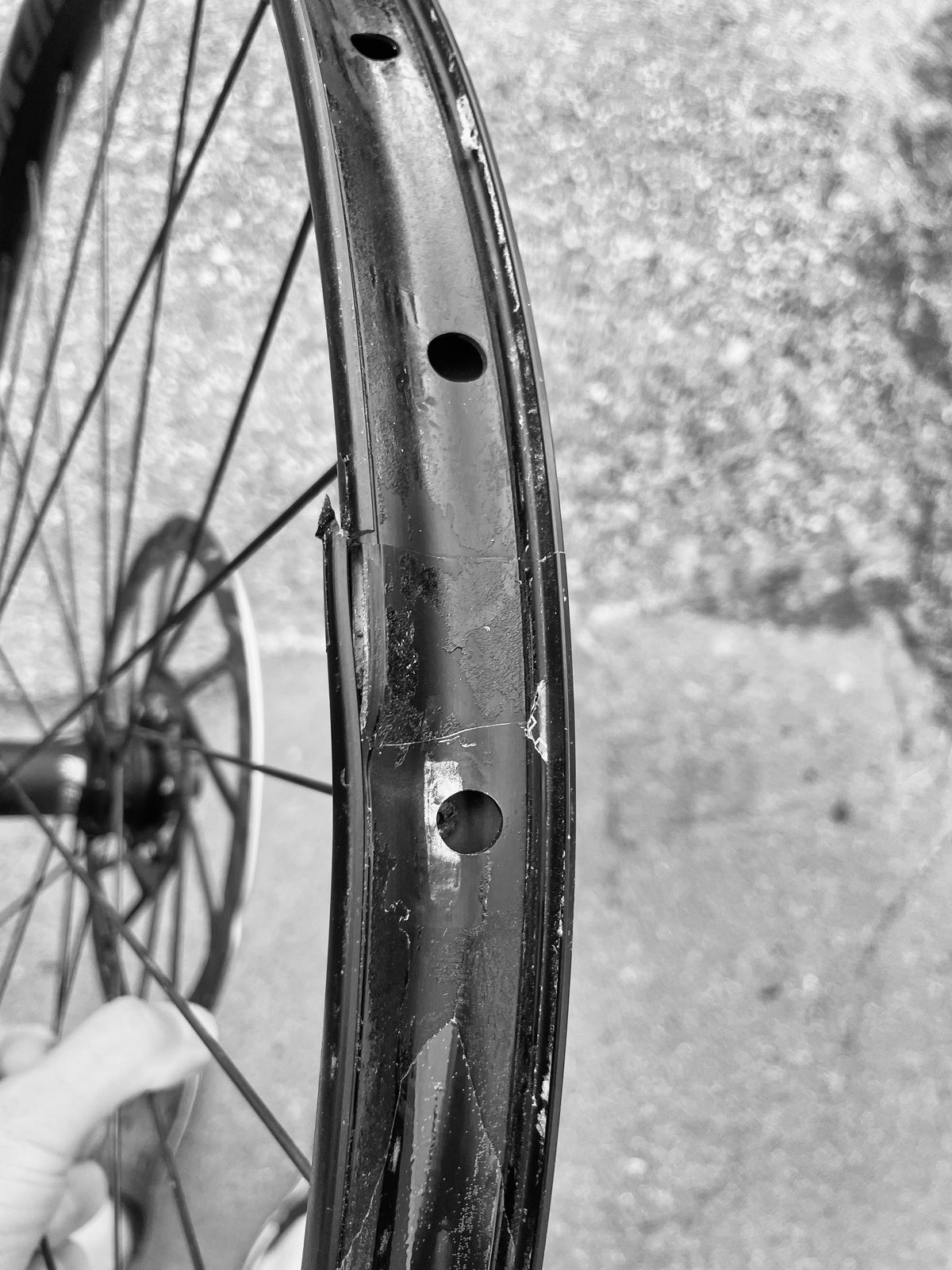 Carbon Bike Crash Replacement: How the 20 % Replacement Programme Works Ikuista