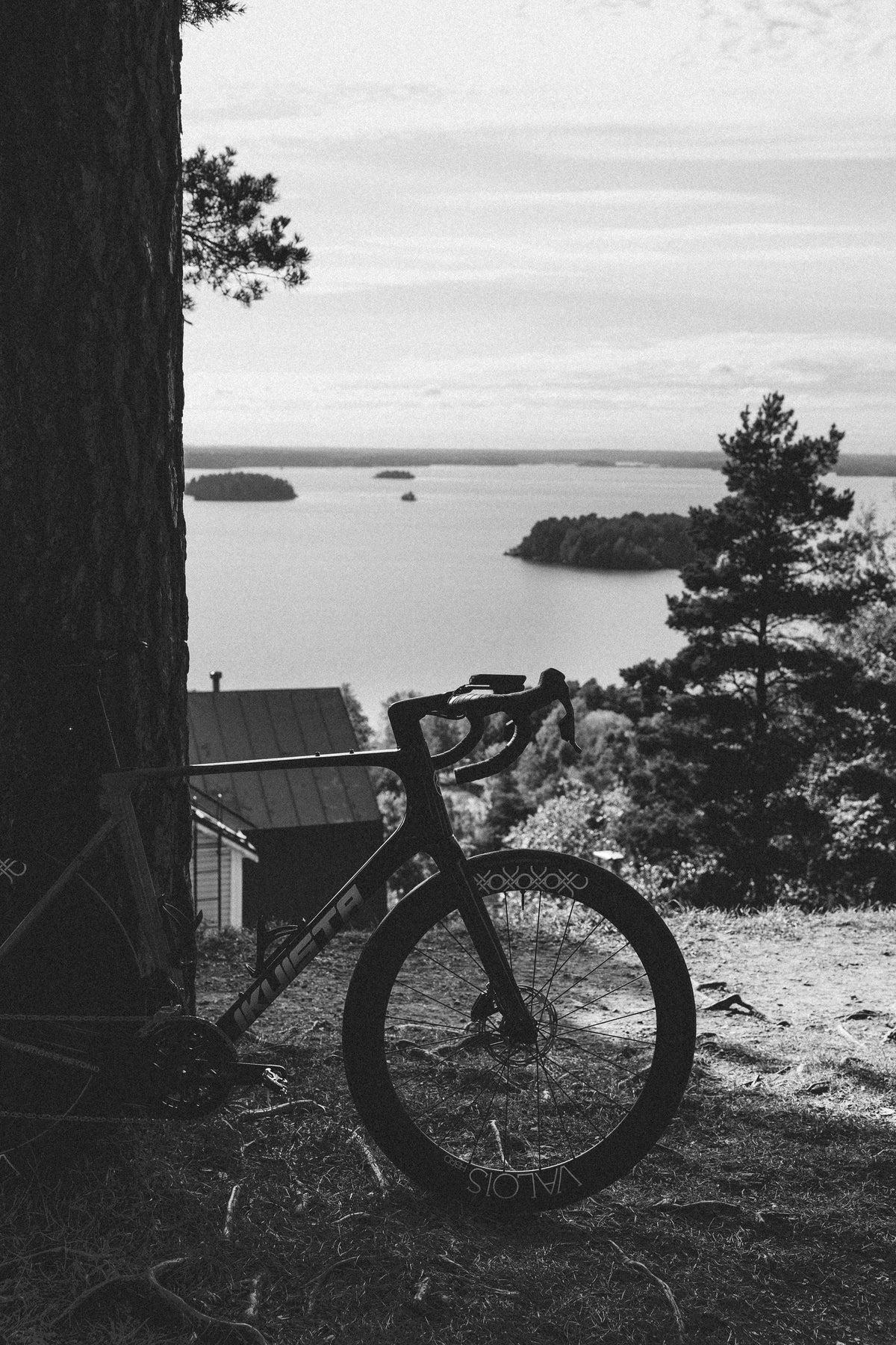 Company Bike Rental in Finland: Carbon Bikes for Your Team, Request a Quote