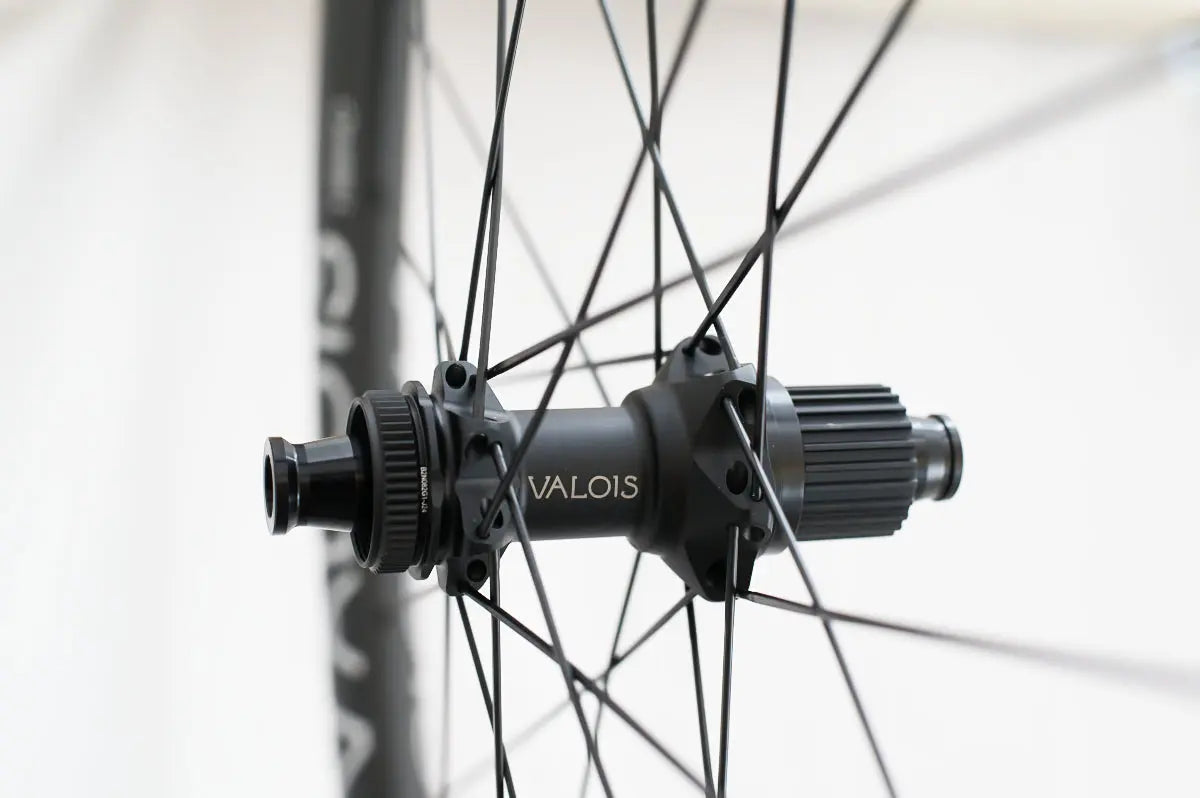 Valois MNTE 60 rear hub and freehub body close-up
