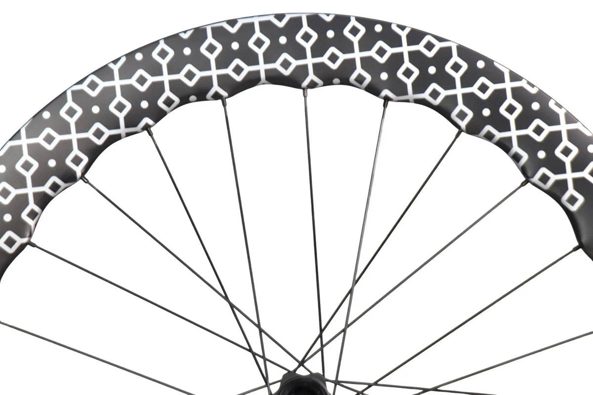 Valois MNTE 60 rim section with the geometric pattern and bladed spokes