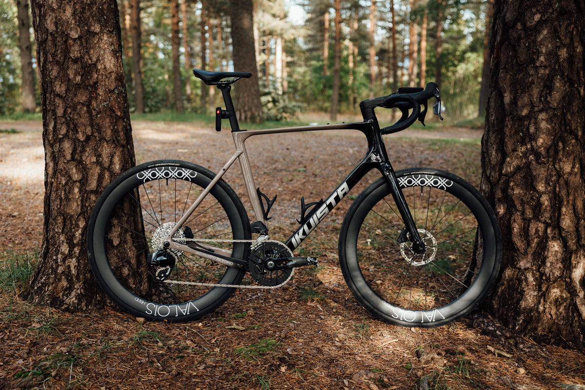 Best value for money in a bike beyond the components - Ikuista