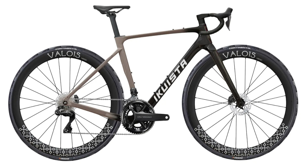 IKUISTA Spektri carbon endurance road bike in Stone Taupe with Shimano Ultegra Di2 and Valois carbon wheels
